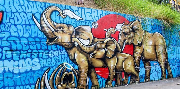 Graffiti – arta interzisa, care prinde culoare pe strazile Chisinaului: „In unele tari primesti bani din aceasta pasiune”