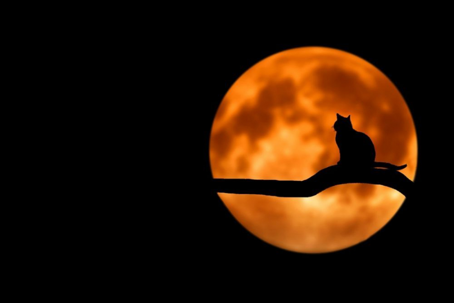 Luna Plina in Scorpion, de pe 19 mai, are efecte uriase! Vezi la ce sa te astepti si la ce sa fii atent