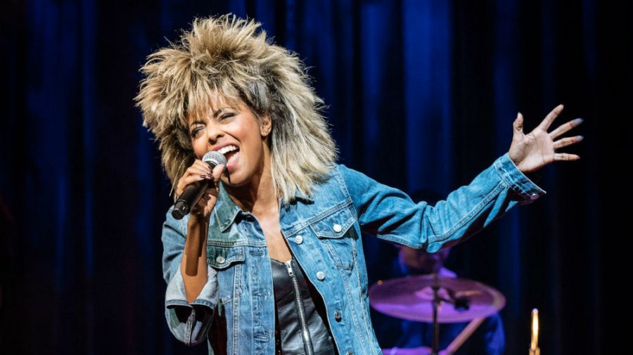 Tina Turner, dezvaluiri despre moartea fiului ei. „Singuratatea l-a impins la sinucidere!”