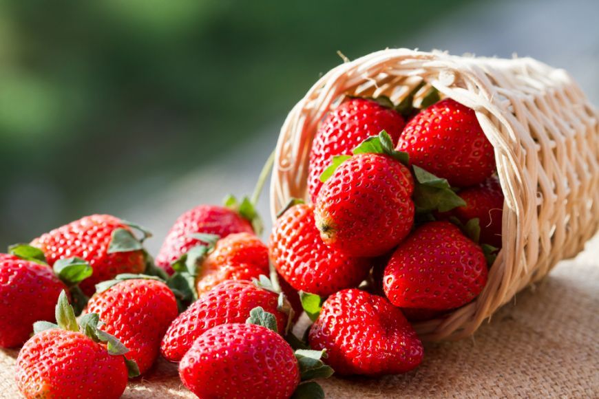 Un alt fel de capsune, produse pe substrat din nuca de cocos - de vanzare in Moldova