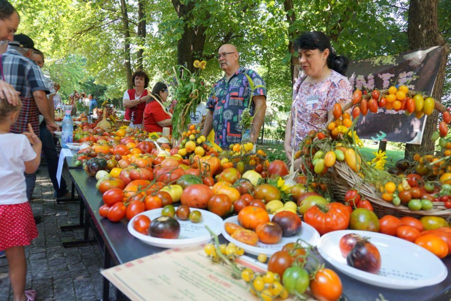 Rosii de diferite culori, cu diferite arome si o multime de gusturi. Unde a fost organizat Festivalul Tomatelor