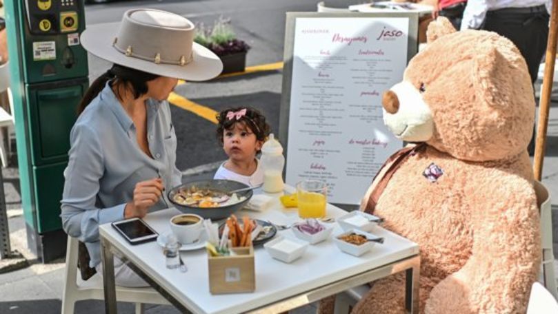 Ursuletii de plus - noi parteneri de a lua masa. Reguli de a mentine distanta sociala