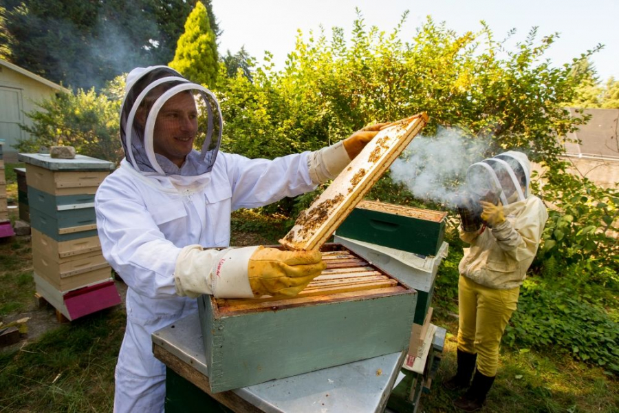 In aceste zile, apicultorii isi pot promova produsele in priajma Arcului de Triumf din Chisinau