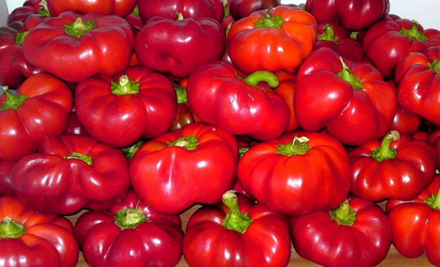 Gogosari in sos dulce-acrisor pentru iarna