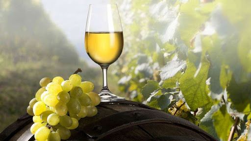  Au scazut vanzarile vinurilor din Republica Moldova. Cum se descurca vinificatorii in perioada crizei