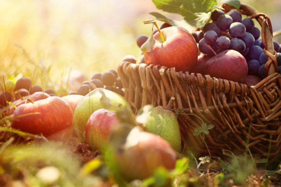 Fructele trebuie consumate ca un desert si nu in cantitati excesive. Ce recomanda nutritionistii 