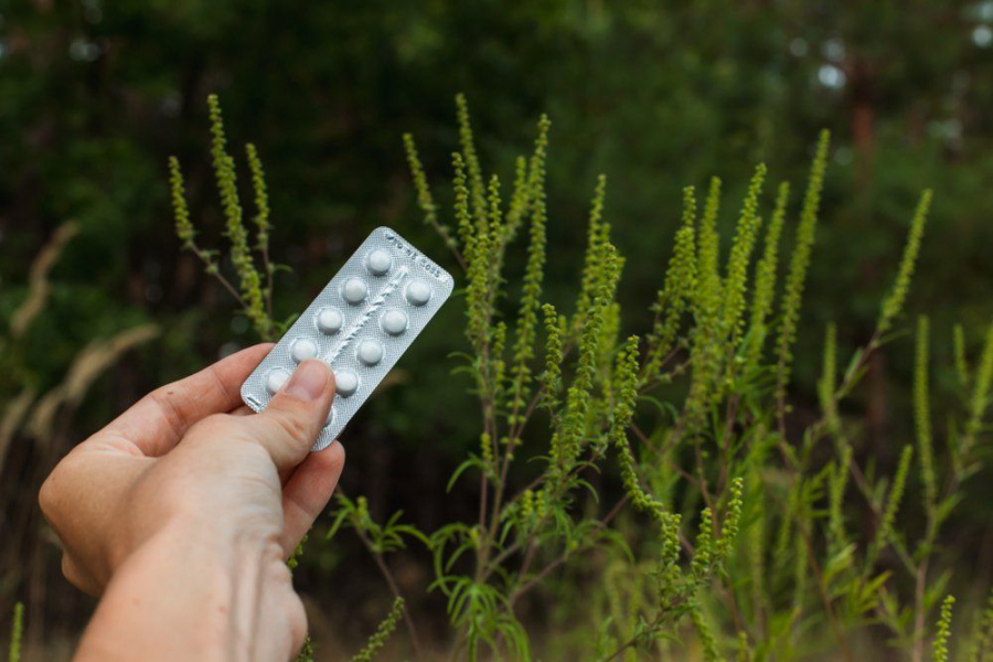 Antihistaminicele si administrarea lor in terapia afectiunilor alergice. Iata ce trebuie sa stii despre aceste medicamente