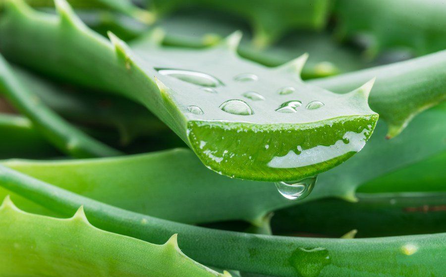 Remedii naturale pentru diabetul de tip 2