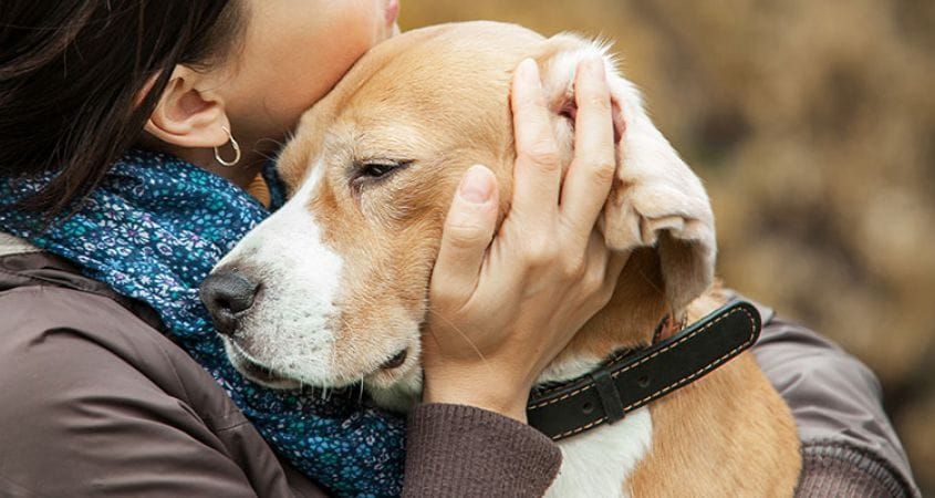 Stiai ca cainii sunt de ajutor copiilor cu anxietate si varstnicilor cu Alzheimer? Afla mai multe avantaje ale acestui animal de companie