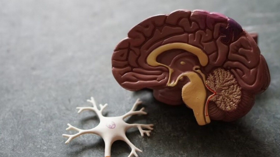 Studiu: Viagra ar putea fi folosita in tratamentul maladiei Alzheimer