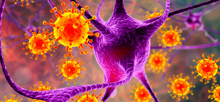Un nou studiu arata ca scleroza multipla este provocata de un virus. Cine se face responsabil de aceasta boala autoimuna