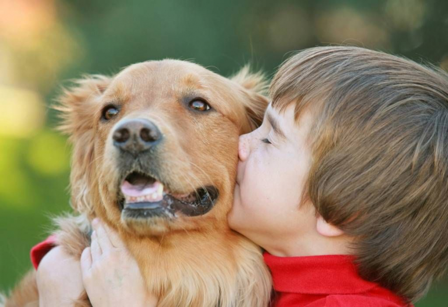 Copilul si animalul de companie. La ce trebuie sa fie atenti parintii