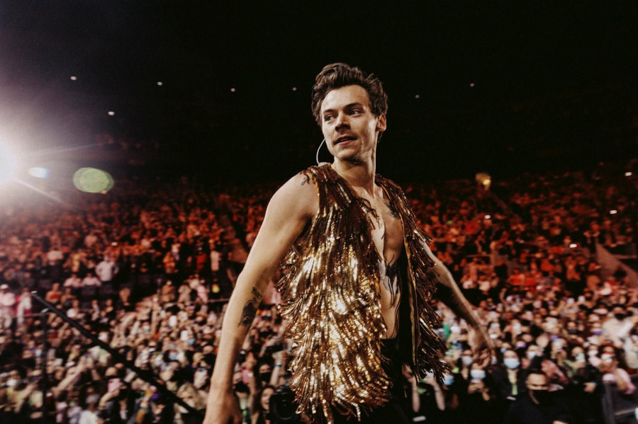 Noi acuzatii pentru hartuitorul lui Harry Styles. A patruns in casa cantaretului, a agresat o femeie ce lucra acolo si a distrus bunuri