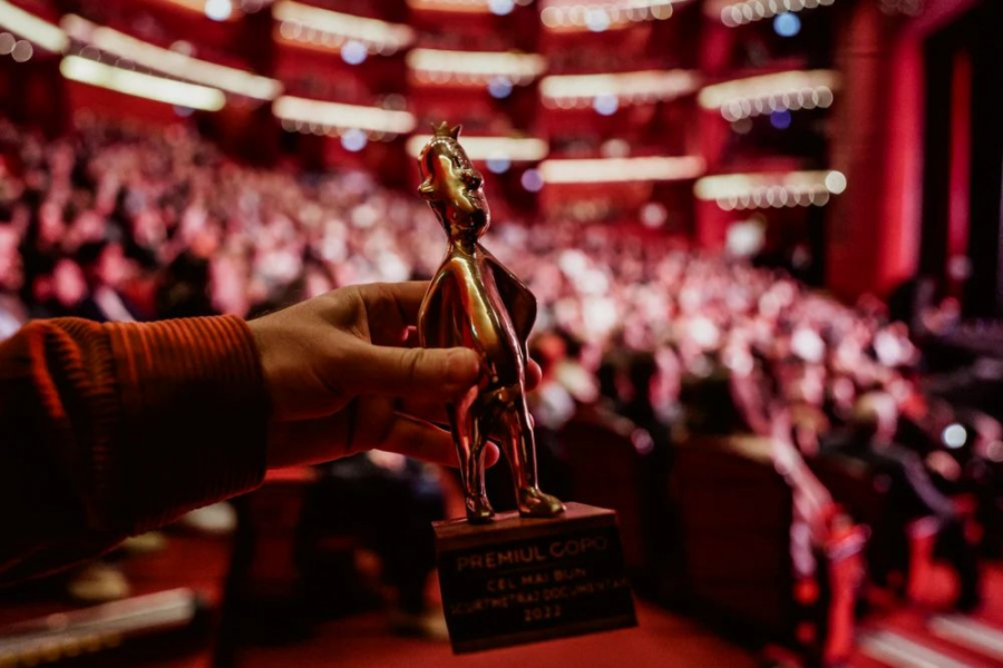 Este oficial! Cine sunt vedetele ce vor prezenta Gala Premiilor Gopo - FOTO