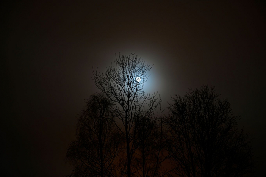 La ce să ne așteptăm de la luna plină din 15 noiembrie: Ce înseamnă Luna Castorului
