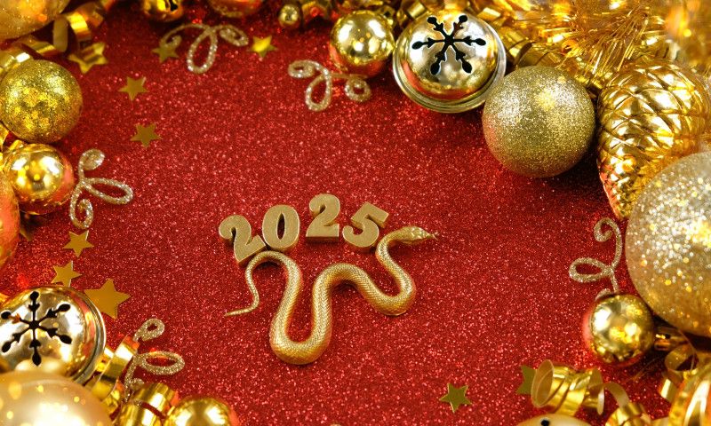 Horoscop chinezesc 2025. Anul Șarpelui de Lemn aduce schimbări neașteptate și noi începuturi
