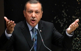 Egiptul l-a expulzat pe ambasadorul Turciei din cauza unor declaratii ale premierului Recep Erdogan