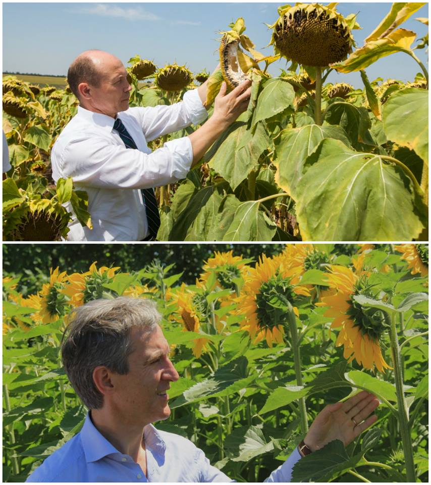 "Chelia lui Strelet versus freza lui Leanca": Actualul si fostul premier, IRONIZATI de internauti - FOTO