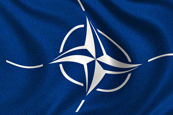 Tot mai multi ucraineni opteaza pentru aderarea tarii la NATO si UE, insarcinat cu afaceri
