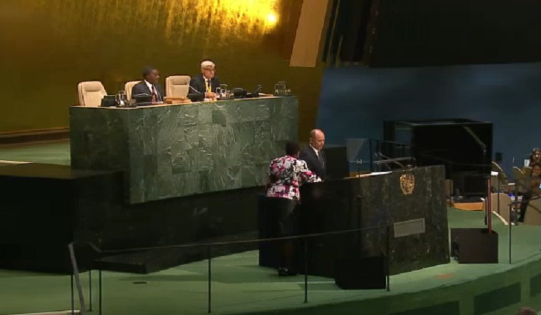 Discursul premierului Valeriu Strelet de la tribuna principala a ONU. Cum se descurca in engleza - VIDEO