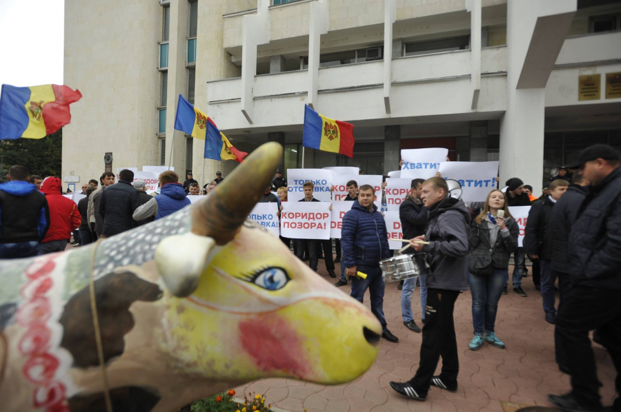 GALERIE FOTO: Protestul "Coridorului Rusinii. Dodon si Usatai picheteaza Ministerul Agriculturii