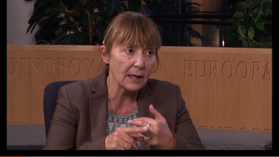 Riscam reintroducerea VIZELOR cu UE. Vezi cu ce conditie / Interviu cu europarlamentarul Monica Macovei VIDEO