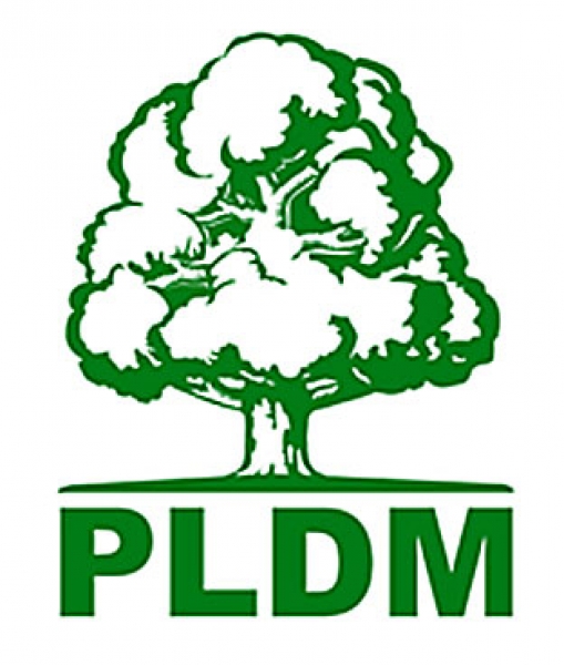 PLDM dezaproba si acuza incalcari de procedura si drepturi: "Graba cu care se iau deciziile tradeaza caracterul politic al acestui caz"