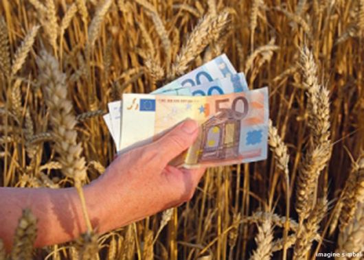 Banii pentru agricultori au ajuns la firme aflate sub protectia demnitarilor. Procuratura a pornit urmarirea penala