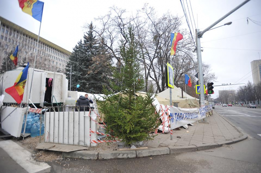 Un brad al protestatarilor: Manifestantii socialisti si simpatizantii lui Usatai au instalat un pom de Craciun langa corturi - FOTO