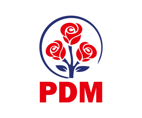 Schimbari in conducerea PD. Sergiu Sirbu, Monica Babuc si Octavian Calmic au fost desemnati vicepresedinti ai formatiunii