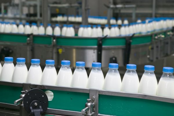 Producerea autohtona a laptelui, sub semnul intrebarii - Mold-Street.com