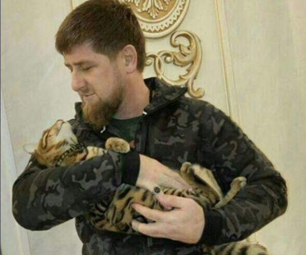 Liderul cecen a cerut ajutor in gasirea pisicii. Cat costa aceasta - FOTO