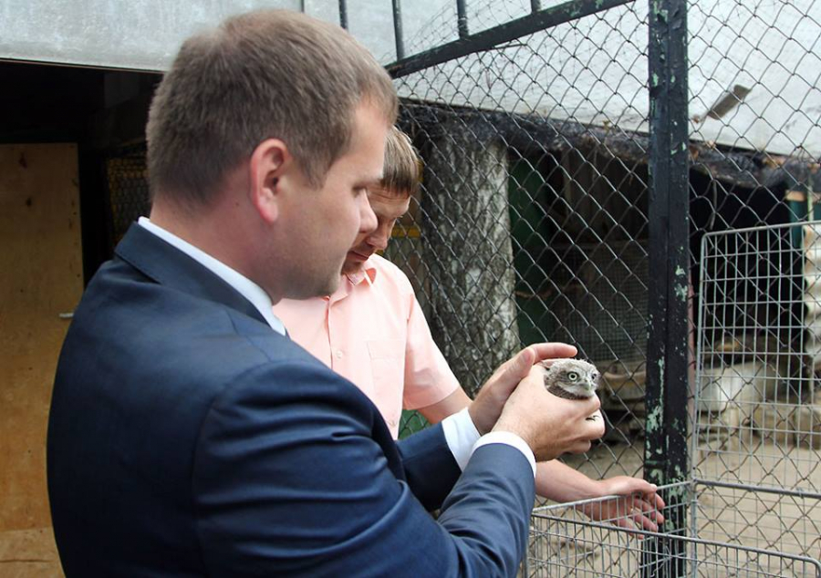 Ministrul mediului a predat ciuful de padure Gradinii Zoologice. Munteanu: "Inspectorii de mediu vor elibera azi, pentru prima data, peste 50 de broaste testoase de balta" - FOTO