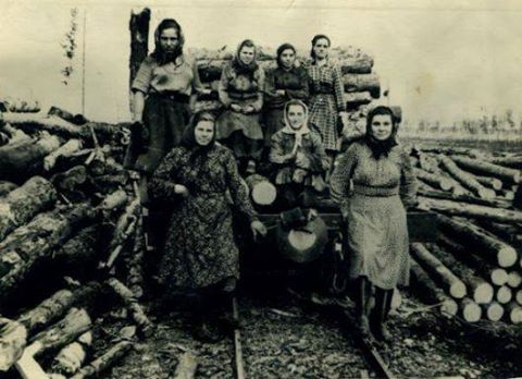 Mesajul lui Timofti in amintirea victimelor primului val de deportari sovietice: "Istoria nu se uita. Iar cine nu are memoria istoriei, risca s-o repete"