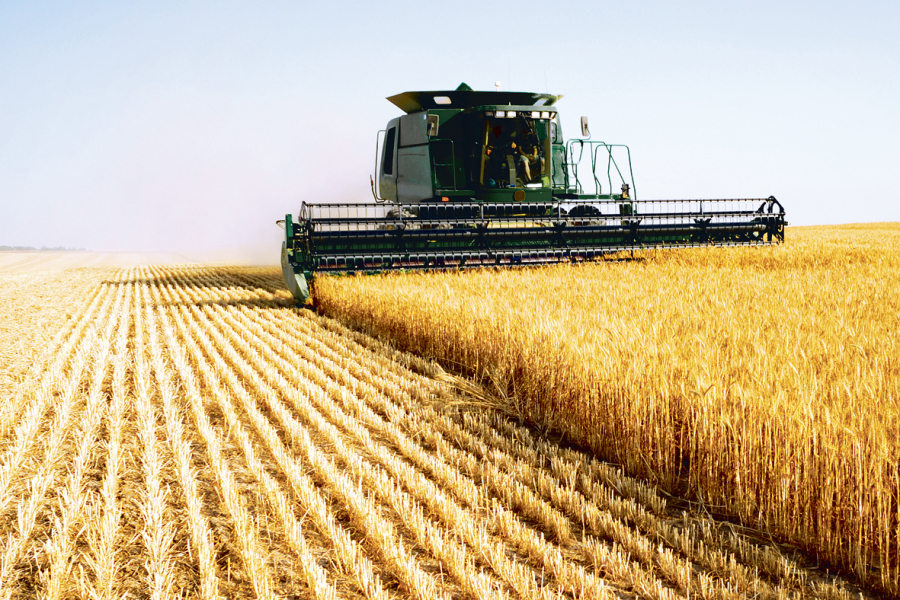 Un milionar din Moldova a preculat circa 40.000 de hectare de terenuri agricole din Romania - Mold-Street