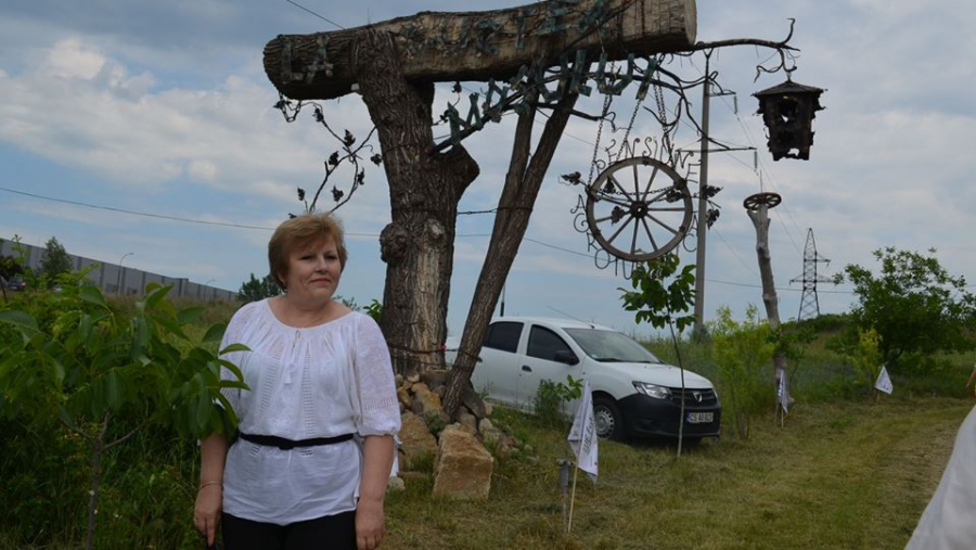 Maria Ciobanu comenteaza declaratiile lui Pettit: "Aveti nevoie de cateva ore, jertfiti-le, Va rog, pentru a Va documenta"