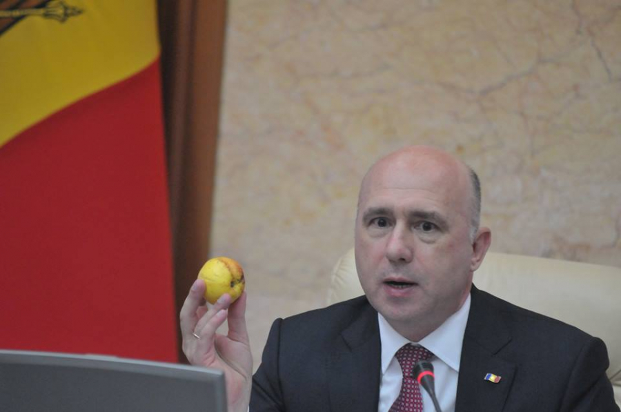 Pavel Filip a venit cu un mar la sedinta Guvernului. Premierul este nemultumit de calitatea fructelor care se ofera copiilor din institutiile prescolare - GALERIE FOTO