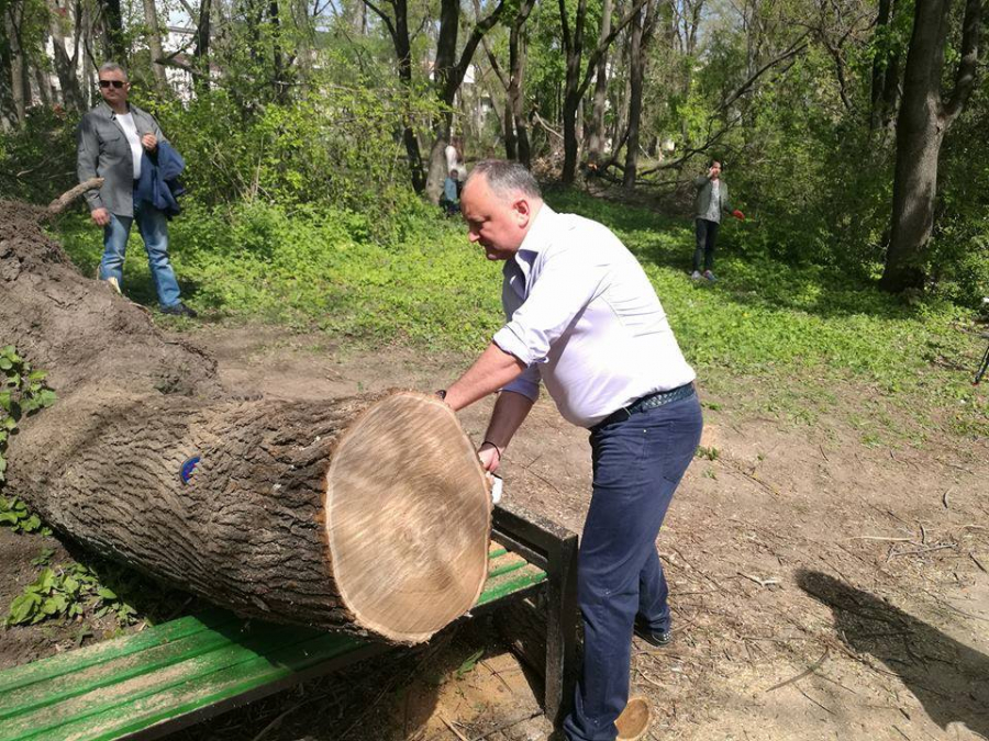 Igor Dodon nu si-a lasat camasa acasa, dar s-a apucat de facut curat intr-un parc din capitala. Si-a suflecat manecile, a luat drujba in mana si s-a apucat de facut ordine alaturi de socialisti - FOTO/VIDEO