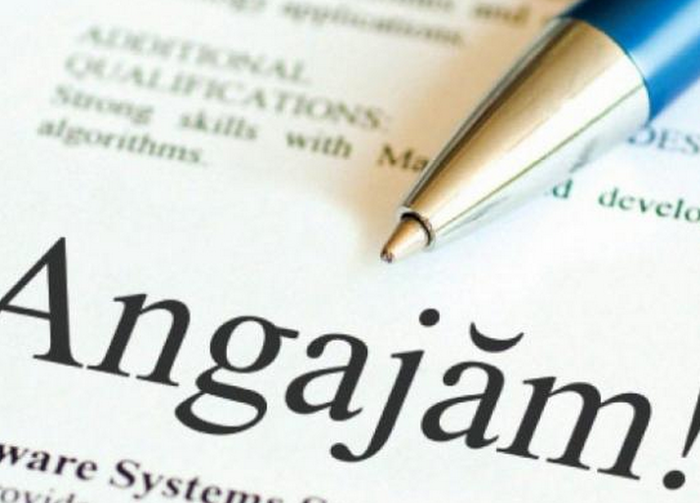 9550 locuri de munca vacante. Vezi care sunt domeniile de activitate - Monitorul.fisc.md