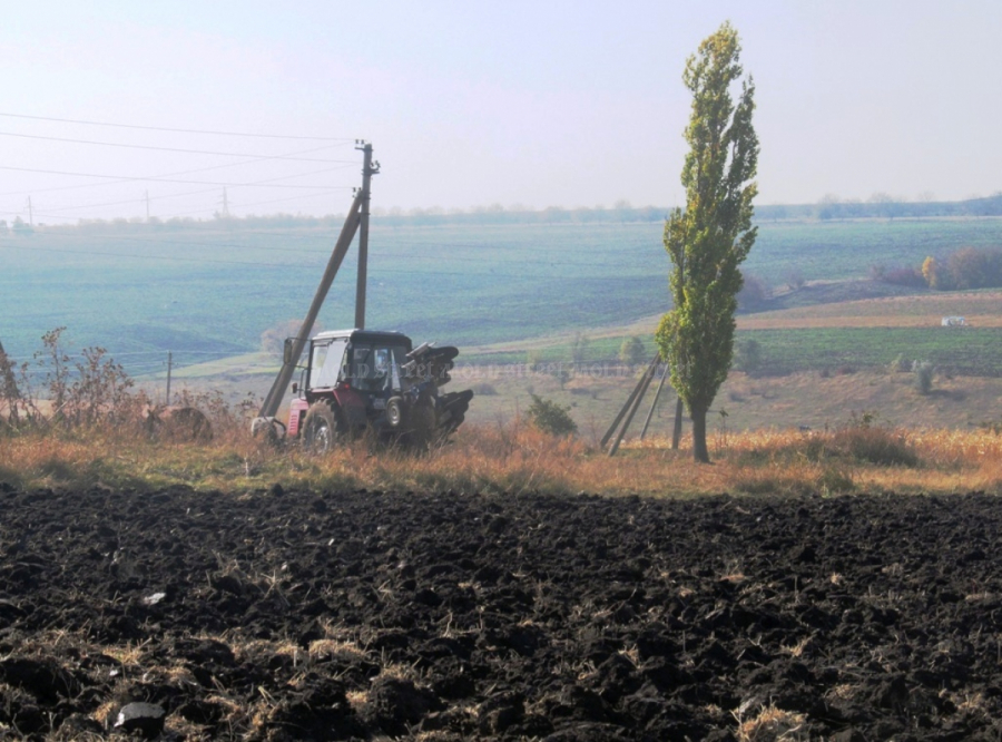 Circa 15 % din terenurile agricole din Moldova sunt deja proprietatea strainilor - Mold-street.com