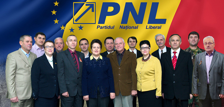 PNL s-a lansat in campania electorala. Formatiunea isi propune sa promoveze unirea
