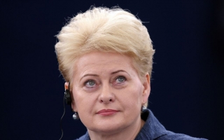 Presedintele Lituaniei: Calea aleasa de Ucraina "nu duce nicaieri"