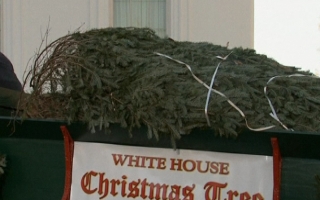 Familia prezidentiala Obama este gata de Craciun. Cum a fost adus la Casa Alba bradul de sarbatoare