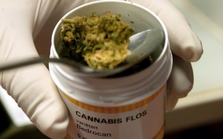 SUA: Vanzarile legale de canabis le-au adus distribuitorilor castiguri importante in Colorado