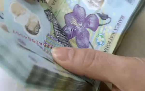 Romania, cea mai puternica crestere a PIB din UE in 2013. Zona euro a accelerat in trimestrul patru