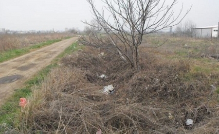 Amenzi pentru parloage. Agricultorii care nu-si vor lucra pamantul vor fi sanctionati