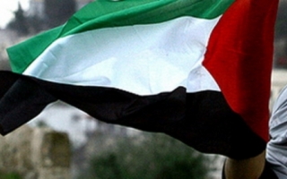Decizie istorica in Adunarea Natiunilor Unite. Palestina a primit statutul de stat observator la ONU