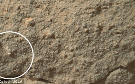 "Floarea" descoperita pe Marte. O imagine a Roverului Curiosity a aprins dezbaterile la NASA
 