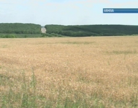 Statul va restitui TVA-ul producatorilor agricoli! Ce prevede noul regulament aprobat de Guvern