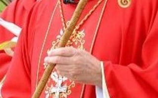 "Biserica s-ar schimba radical". Ce propune un cardinal, candidat pentru a fi noul Suveran Pontif
